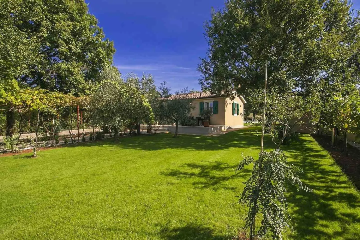 Villa Oliva Musalez